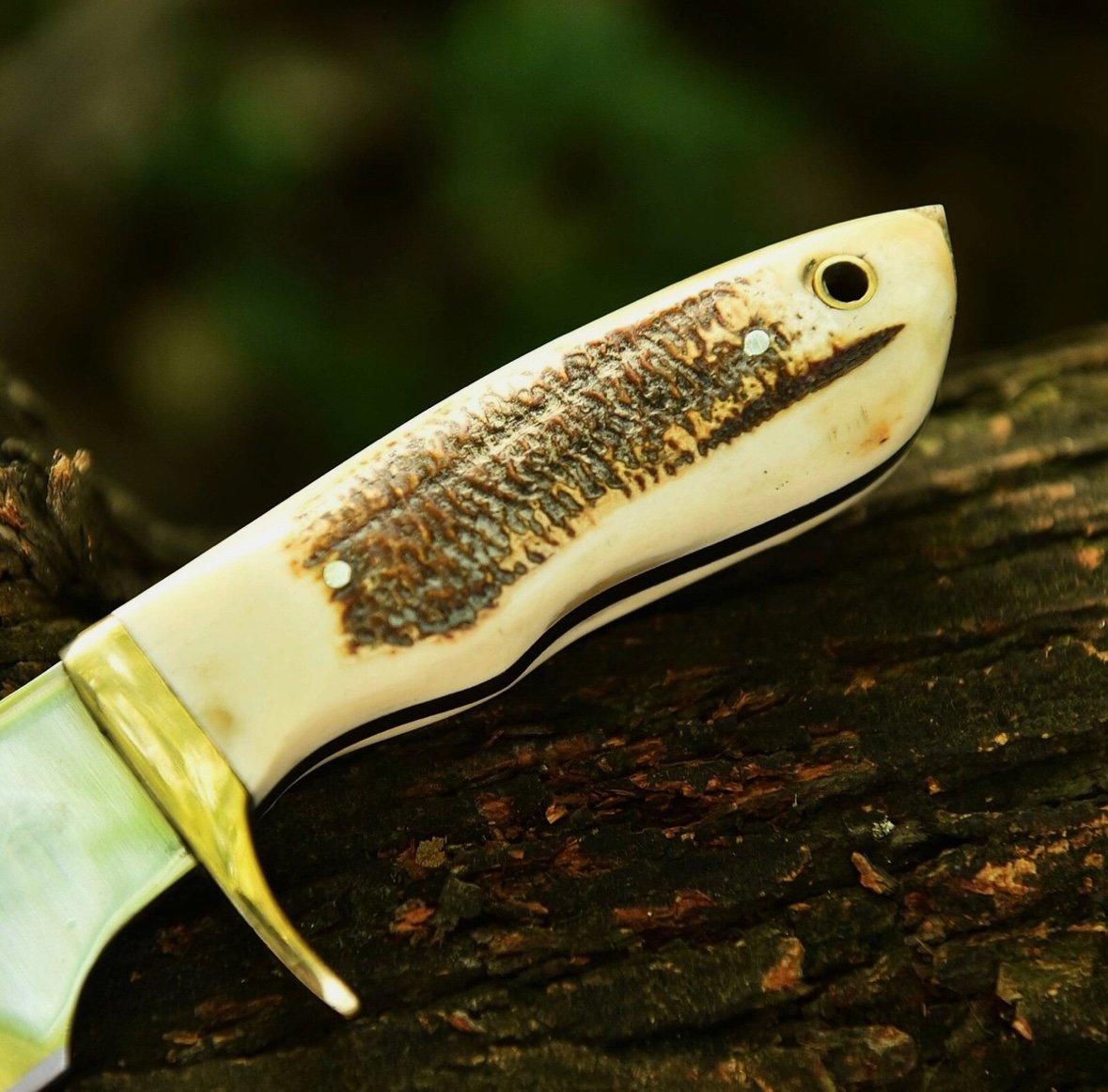 Custom Handmade 12C27 Fixed Blade SHunting Knife-Stag horn Handle - Image 2