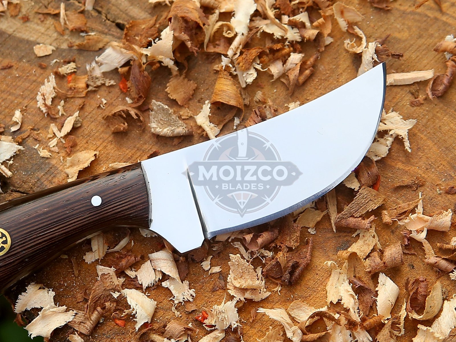 Custom 12C27 Stainless Steel Skinner Knife | Handmade Wood Handle - Image 5