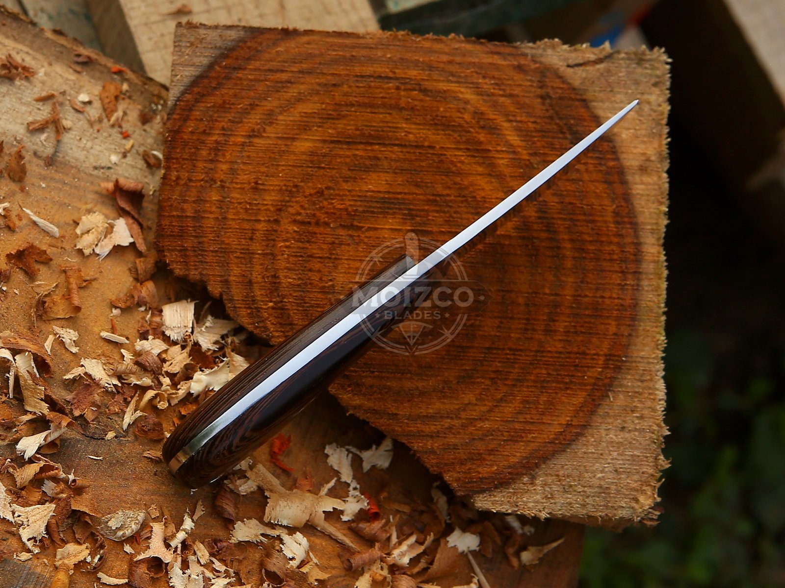 Custom 12C27 Stainless Steel Skinner Knife | Handmade Wood Handle - Image 4